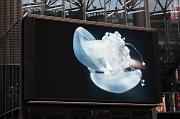 113-Berlin,6 aprile 2012